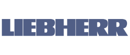 Partner 1